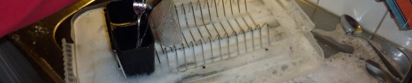 Dish washer INGO-30